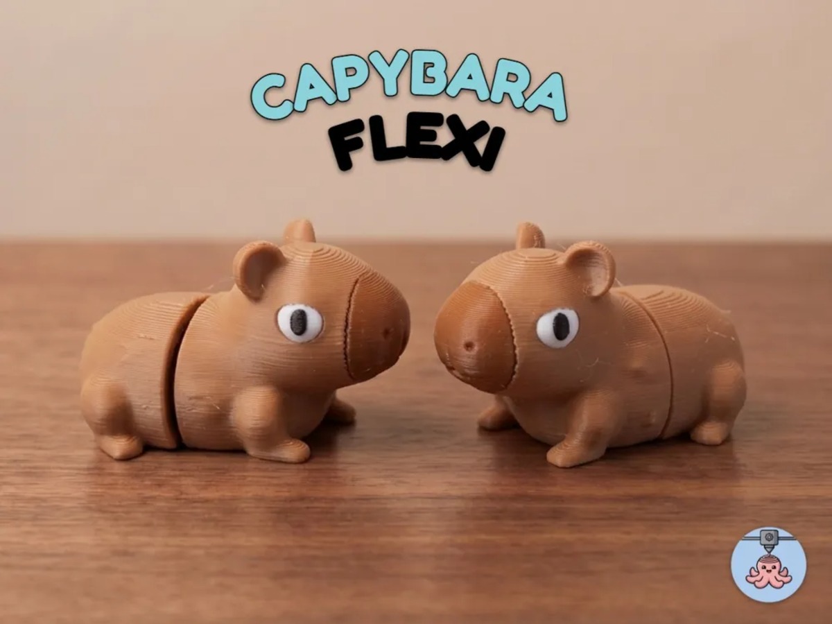 Mignon Capybara  Fidget